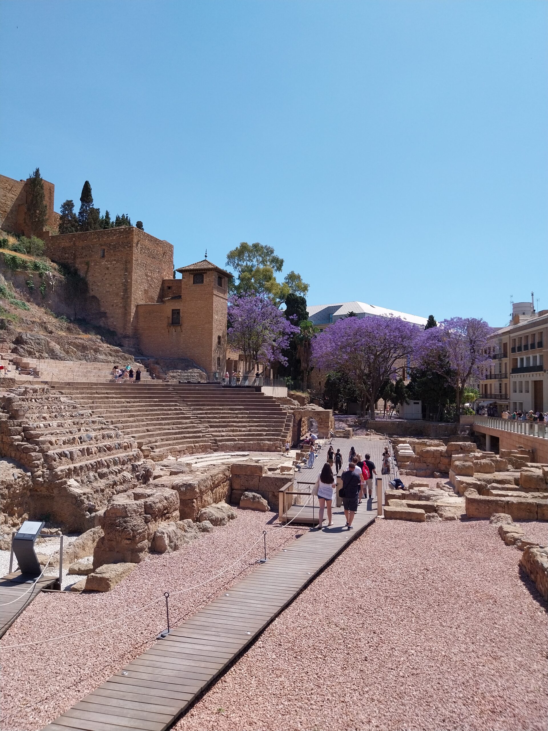 jacaranda alcazaba de malaga